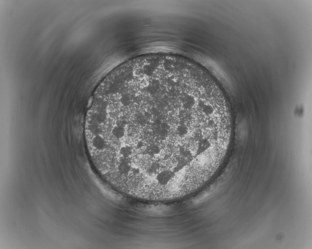 X0000091551233200709141509