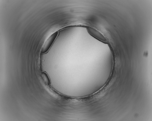 X0000091551234200709141509