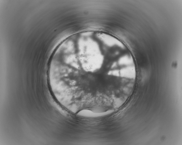 X0000091551235200709141509