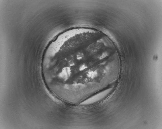 X0000091551237200709141509