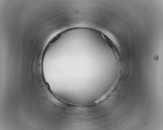 X0000091551238200709141509