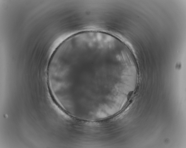 X0000091551239200709141509