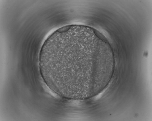 X0000091551240200709141509