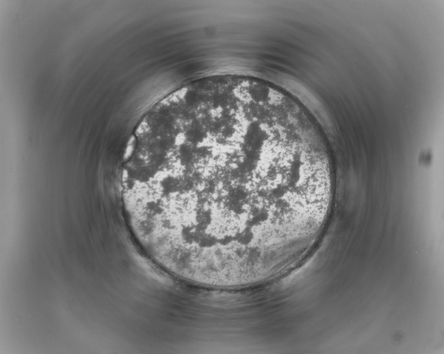 X0000091551241200709141509