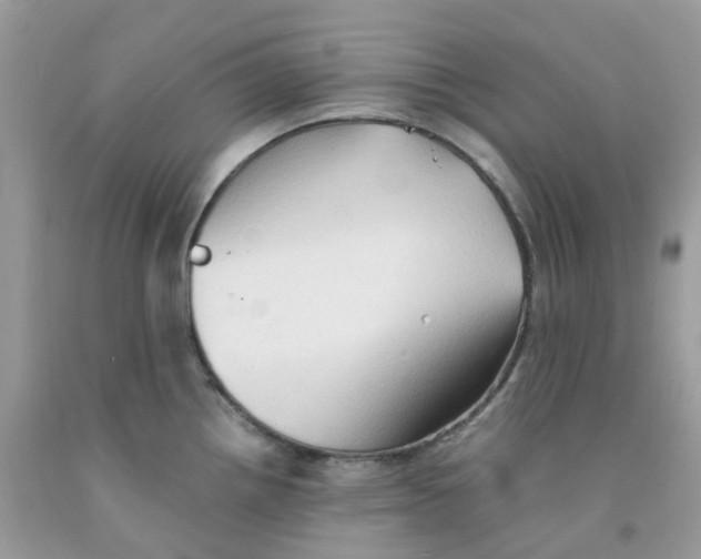 X0000091551242200709141509