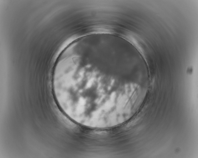 X0000091551243200709141509