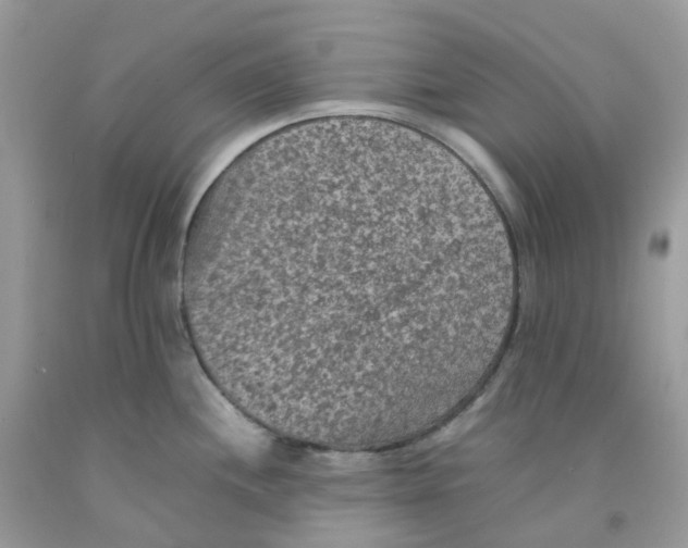 X0000091551244200709141509