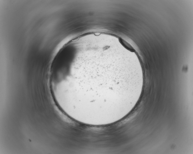 X0000091551245200709141509