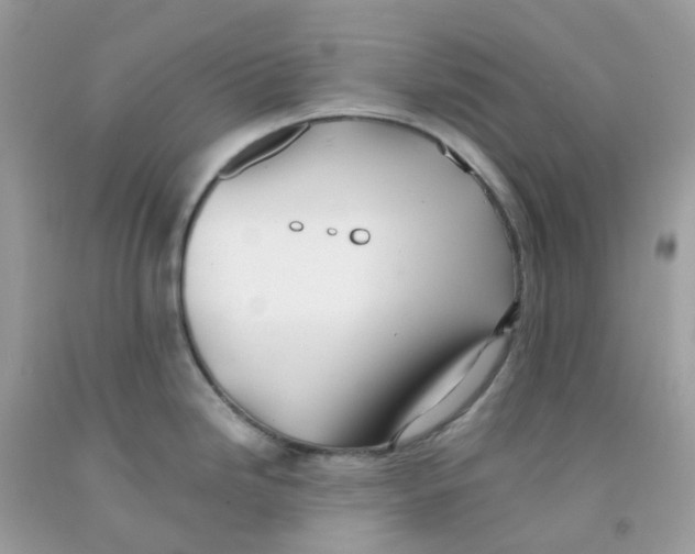 X0000091551246200709141509