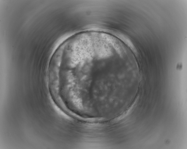 X0000091551247200709141509