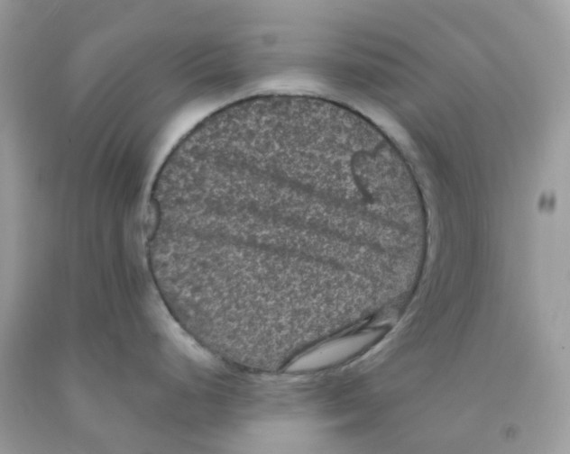 X0000091551248200709141509