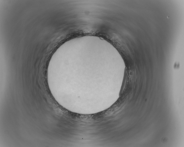 X0000091551249200709141509