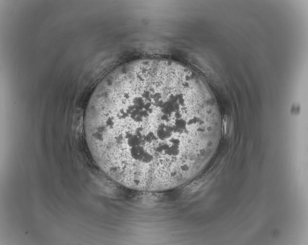 X0000091551251200709141509