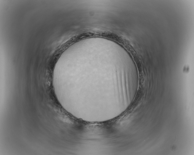 X0000091551253200709141509