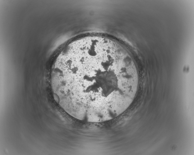 X0000091551255200709141509