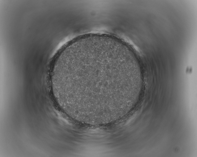 X0000091551256200709141509