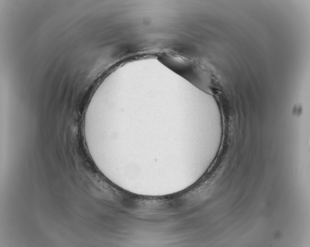 X0000091551257200709141509