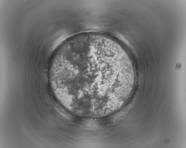 X0000091551259200709141509