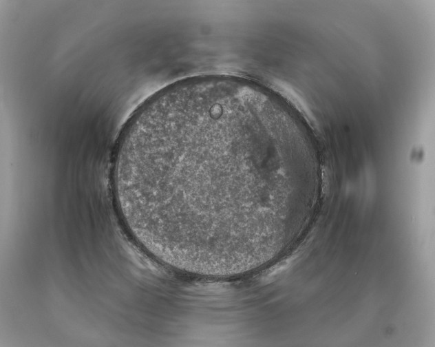 X0000091551260200709141509