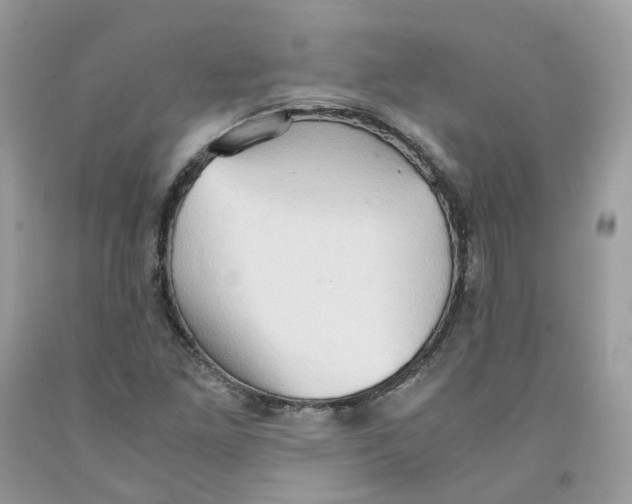 X0000091551261200709141509