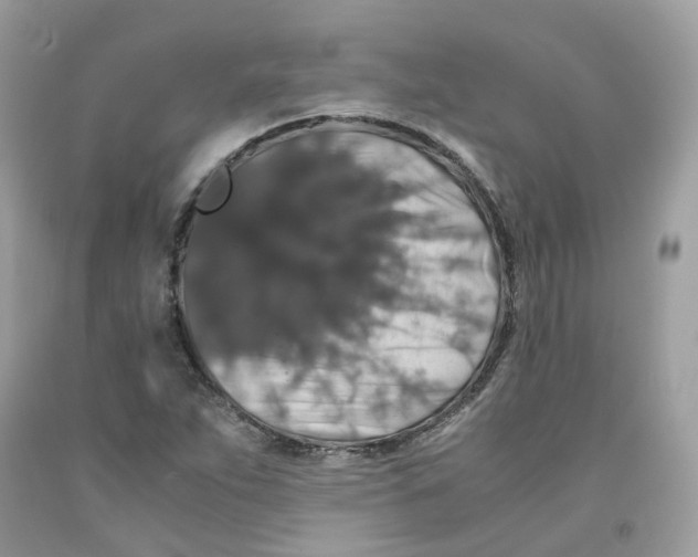 X0000091551263200709141509