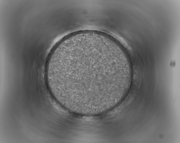 X0000091551264200709141509