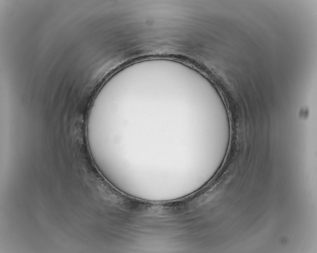 X0000091551265200709141509