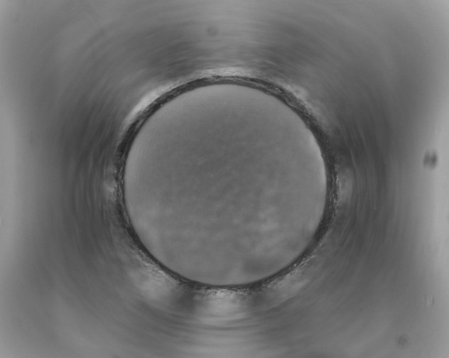 X0000091551266200709141508