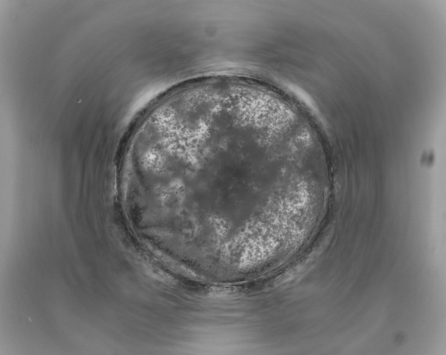 X0000091551267200709141508