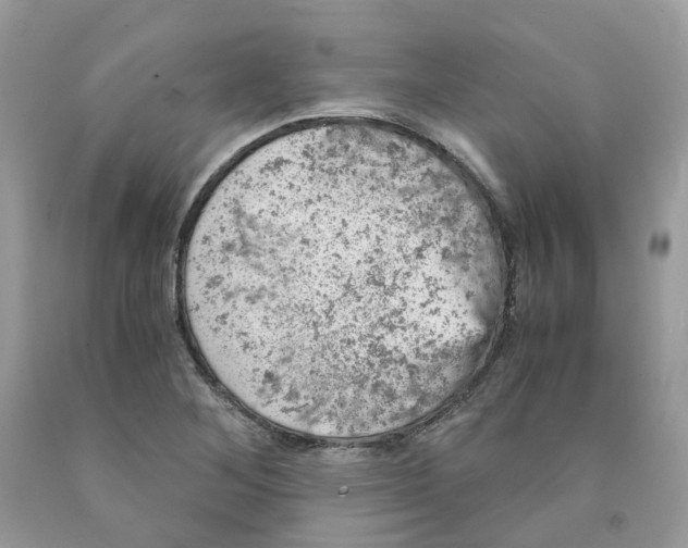 X0000091551268200709141508