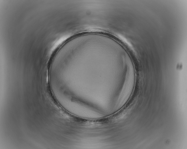 X0000091551269200709141508