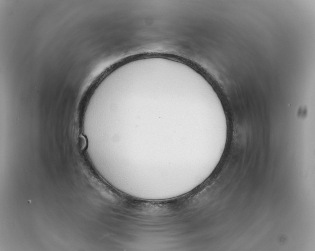 X0000091551270200709141508