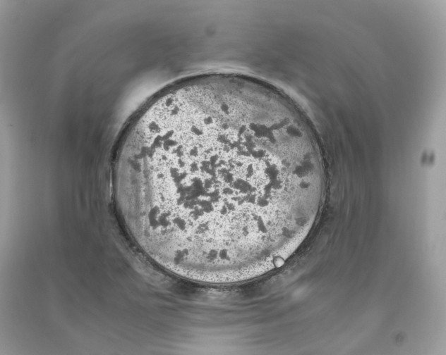 X0000091551271200709141508