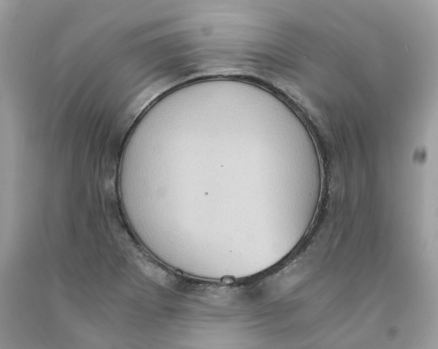 X0000091551273200709141508