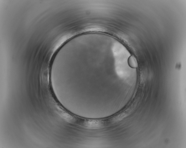 X0000091551274200709141508