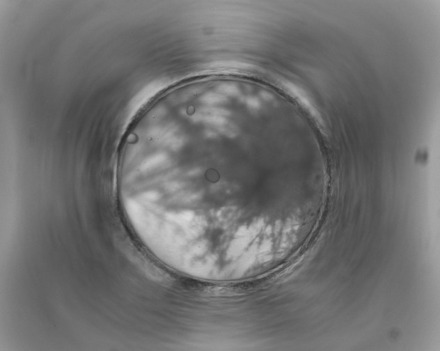 X0000091551275200709141508