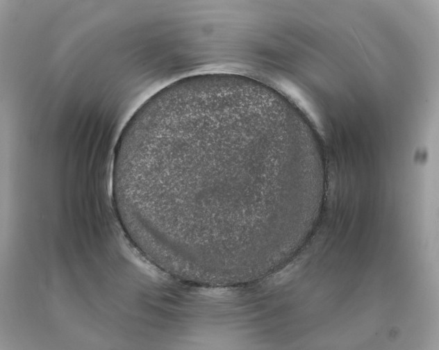 X0000091551276200709141508