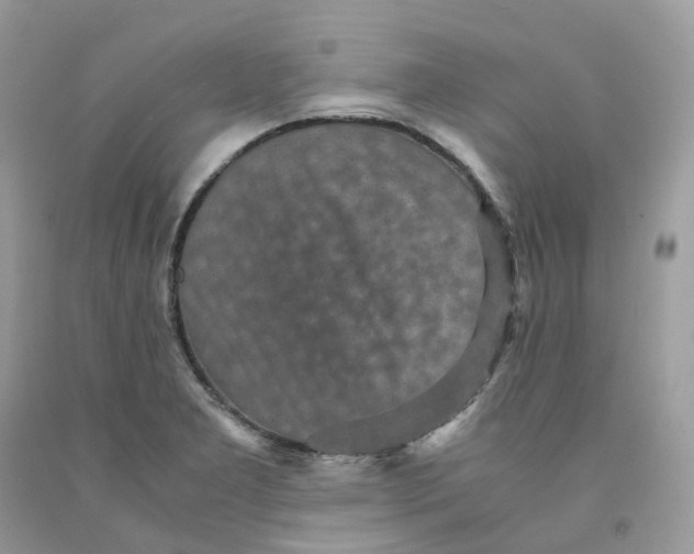 X0000091551277200709141508