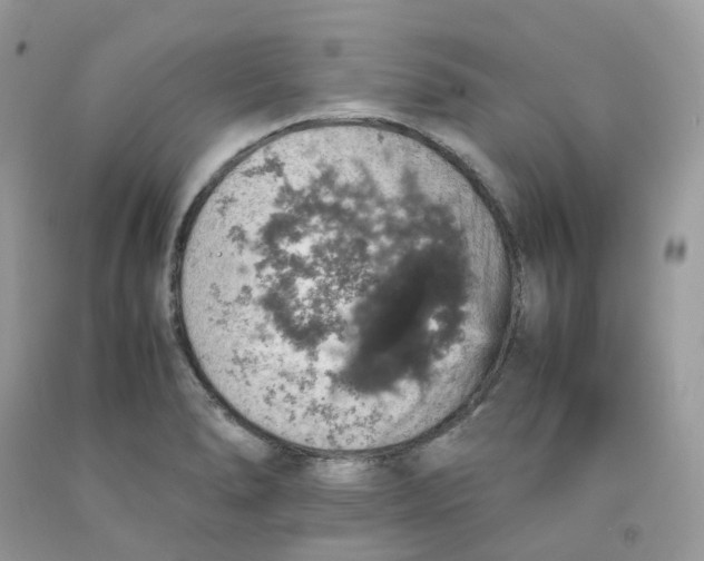 X0000091551278200709141508