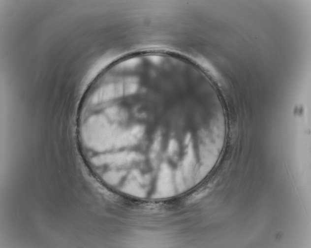 X0000091551279200709141508