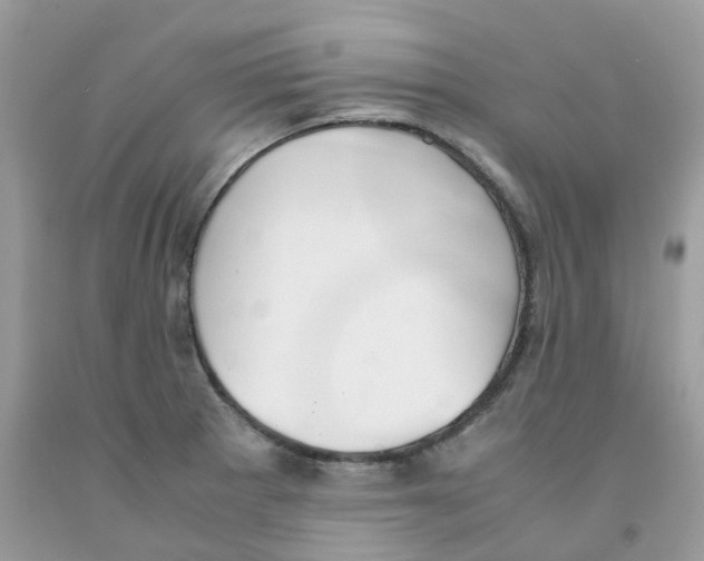 X0000091551281200709141508