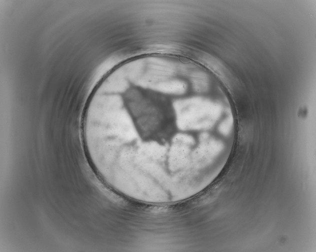 X0000091551283200709141508