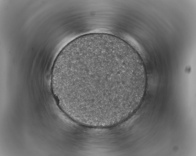 X0000091551284200709141508