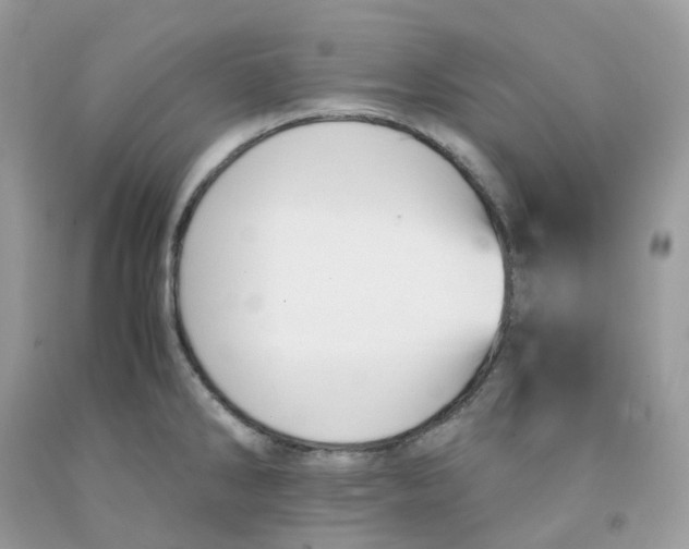 X0000091551286200709141508