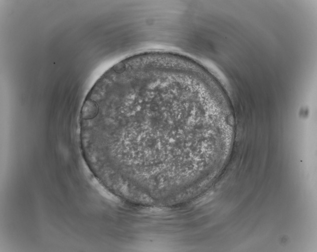 X0000091551287200709141508