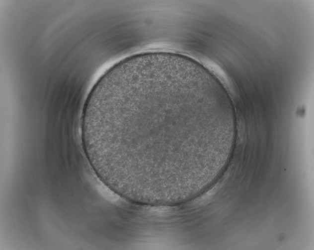 X0000091551288200709141508