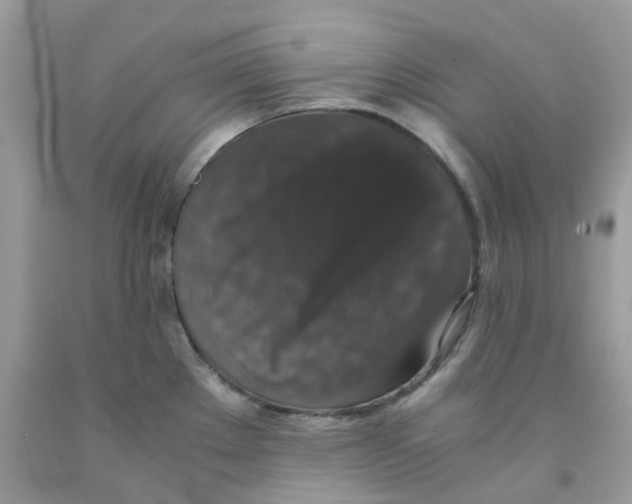 X0000091551289200709141508