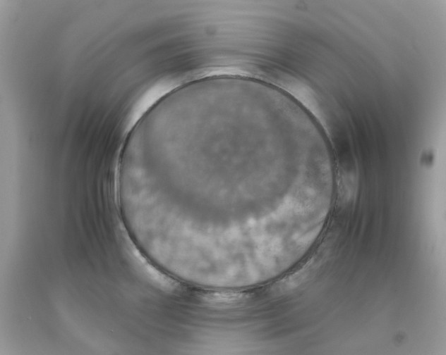 X0000091551290200709141508