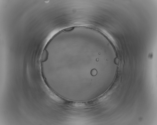 X0000091551291200709141508