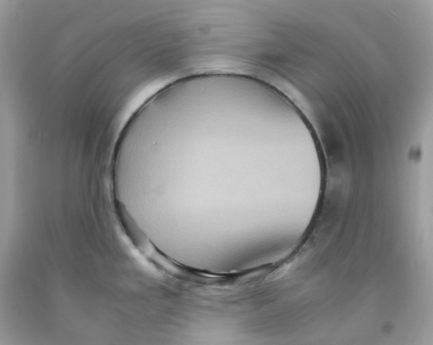 X0000091551293200709141508